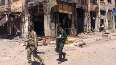 The Sudanese War: Origins and Regional Interventions