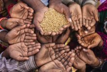 The world is preparing for a wave of hunger as the wars in Iran and Ukraine continue
