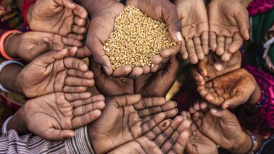The world is preparing for a wave of hunger as the wars in Iran and Ukraine continue
