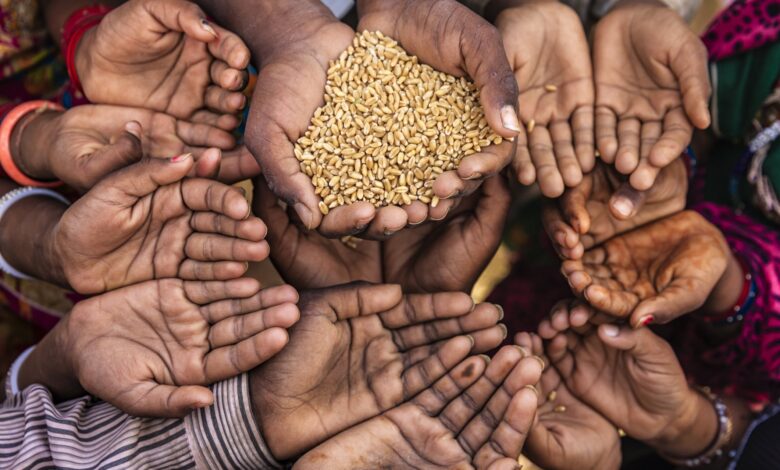 The world is preparing for a wave of hunger as the wars in Iran and Ukraine continue