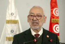 Tunisia’s Muslim Brotherhood and the street card: a desperate attempt to reposition itself 