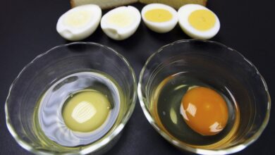 Why Does Egg Yolk Color Vary? The Answer Lies in What the Hen Eats