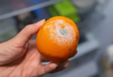 Can You Cut Mold Off Fruit and Still Eat It?