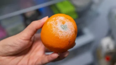 Can You Cut Mold Off Fruit and Still Eat It?