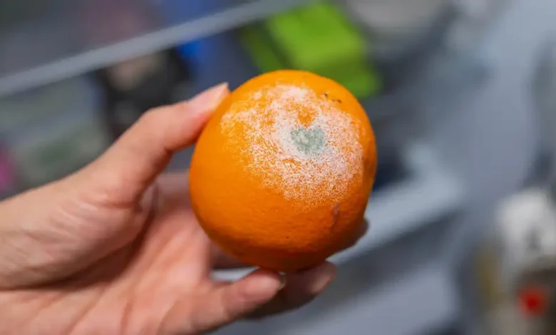 Can You Cut Mold Off Fruit and Still Eat It?