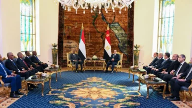 Egyptian Interventions and the Prolongation of the War in Sudan