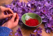 Saffron for Mental Health: What Is the Evidence for Anxiety and Depression?