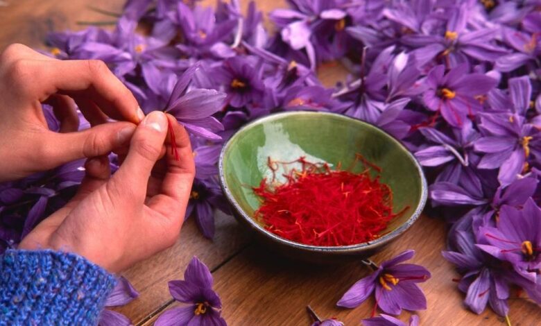 Saffron for Mental Health: What Is the Evidence for Anxiety and Depression?
