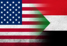 Security Council Dynamics and Enforcement Mechanisms for the Arms Embargo: An Analysis of U.S. Diplomacy Toward Sudan