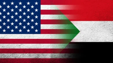Security Council Dynamics and Enforcement Mechanisms for the Arms Embargo: An Analysis of U.S. Diplomacy Toward Sudan