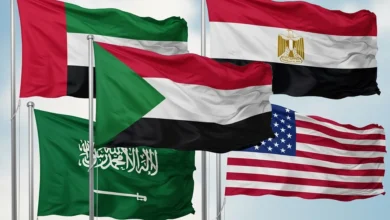 The Network of Overlapping Interests: How the Policies of Saudi Arabia, Qatar, Egypt, and Turkey Have Contributed to Prolonging the War in Sudan