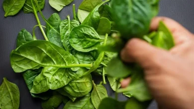 What Happens to Your Blood Pressure When You Eat Spinach Every Day