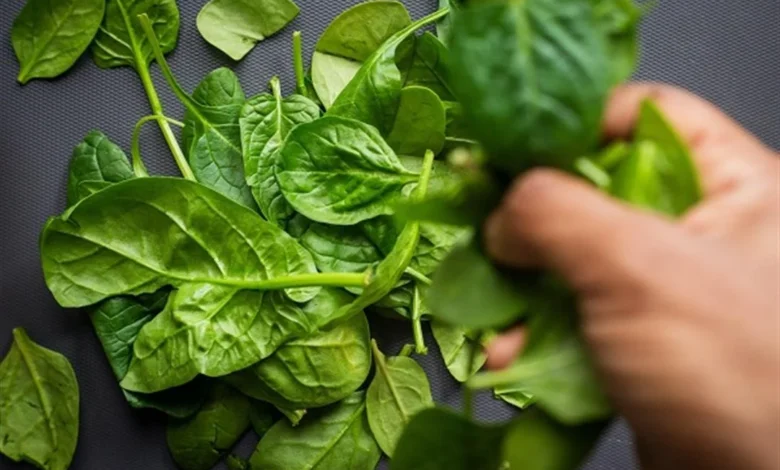 What Happens to Your Blood Pressure When You Eat Spinach Every Day