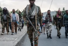 As Fighting Resumes, Tigray Liberation Front Accused of Forcibly Recruiting Children