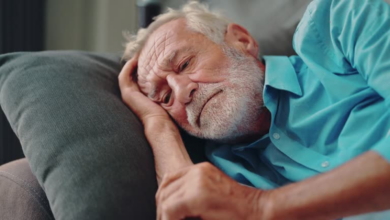 Dementia: How Blood Vessel Health Influences Brain Function