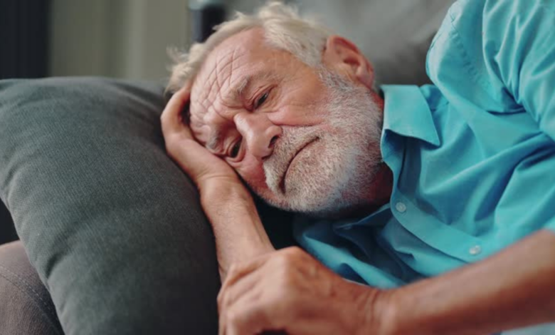 Dementia: How Blood Vessel Health Influences Brain Function