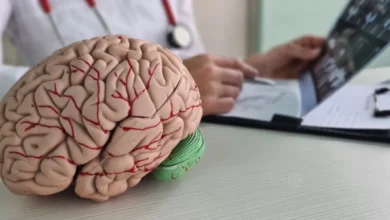 Dementia: How Blood Vessel Health Influences Brain Function