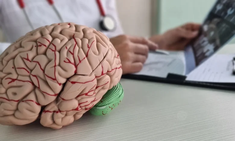 Dementia: How Blood Vessel Health Influences Brain Function