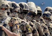 Egyptian Military Support for the Sudanese Army