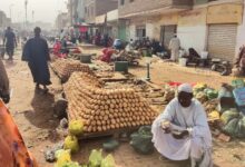 Import Costs and Taxes Worsen Price Rises in Sudan