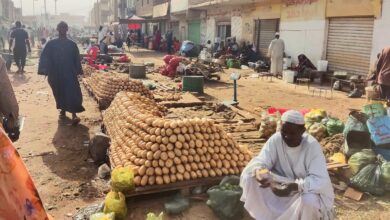 Import Costs and Taxes Worsen Price Rises in Sudan