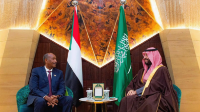 One Million Feddans for Influence: Is Sudanese Land Becoming the Price of Saudi Support?