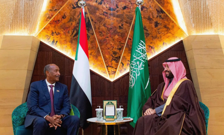 One Million Feddans for Influence: Is Sudanese Land Becoming the Price of Saudi Support?