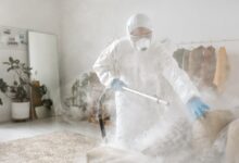 Pesticides in the Air: Understanding the Hidden Risks to Human Health