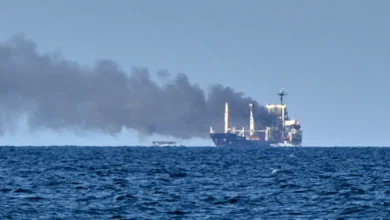 Russia Says It Struck Ukrainian Logistics Centres and a Cargo Ship in the Black Sea