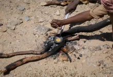 Shamal al-Wadi Massacre: Sudanese Gold Miners’ Bloodshed Between Egyptian Air Strikes and Political Collusion