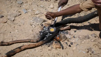 Shamal al-Wadi Massacre: Sudanese Gold Miners’ Bloodshed Between Egyptian Air Strikes and Political Collusion