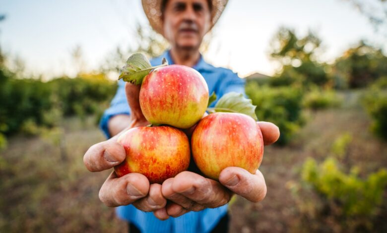 Shiny Apples: Should You Be Concerned About the Wax Coating?