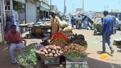Sudanese Pound’s Decline Drives Prices Higher: Citizens and Markets Under Pressure in Port Sudan-Administered Areas