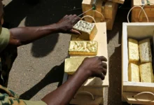 Sudan’s Gold and Its Citizens’ Blood: Who Protects National Wealth When the Authorities Are Fighting to Stay in Power?