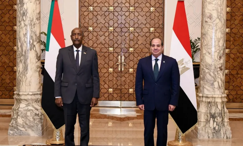 Sudan’s Shamal al-Wadi Air Strikes Raise Sovereignty Questions for Egypt and Burhan