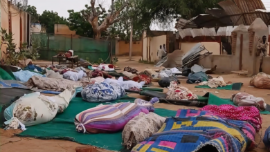 The Al-Jazira Massacre: Ethnic and Regional Killings Under the Pretext of Suspicion