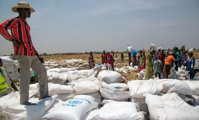 Under the Cover of Humanitarian Aid, Egypt Deepens Its Military Involvement in Sudan’s War