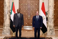 What Lies Behind the Economic and Military Ties Between Khartoum, Cairo and Asmara?